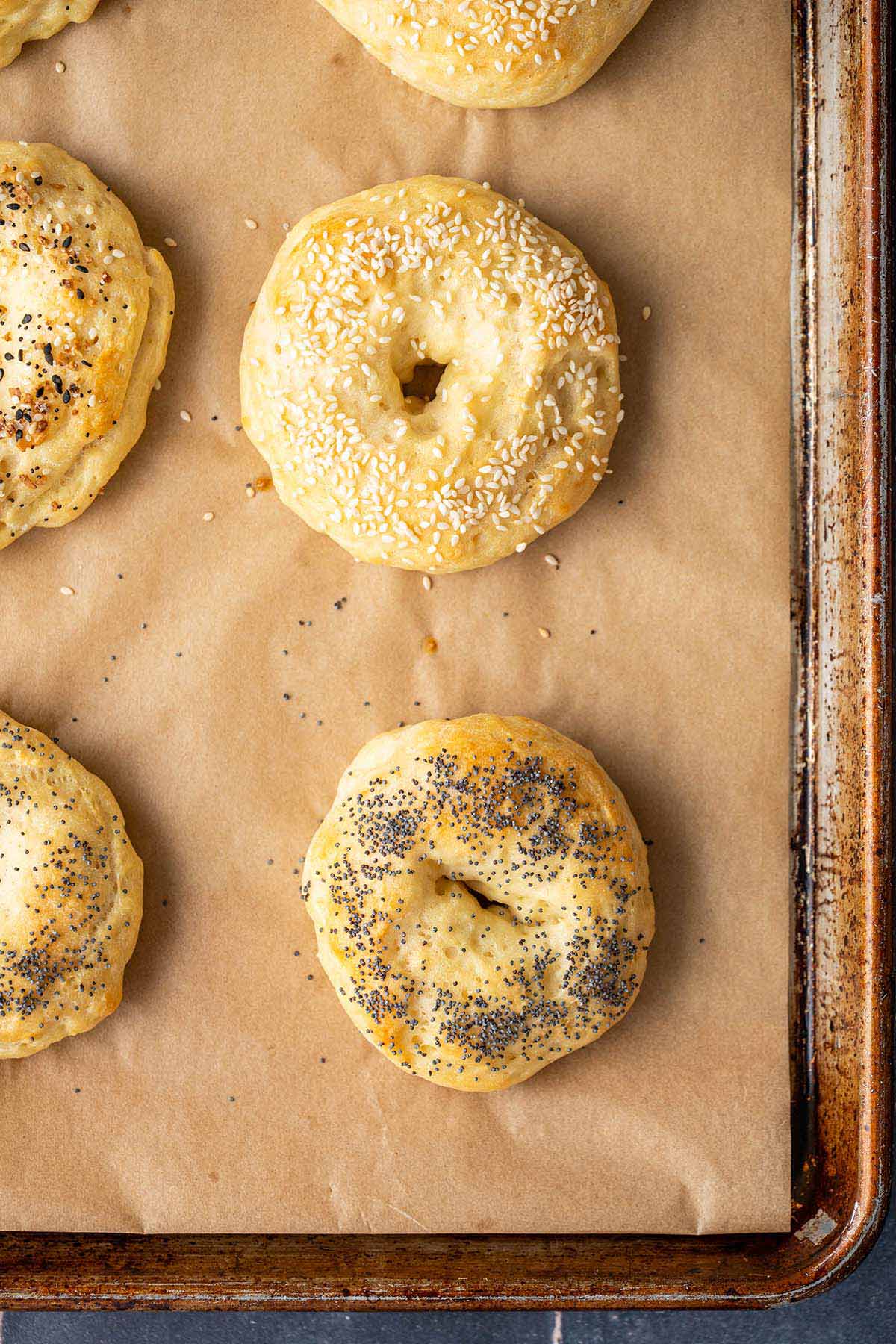 top view of sourdough discard protein bagels on parchment lined baking tray