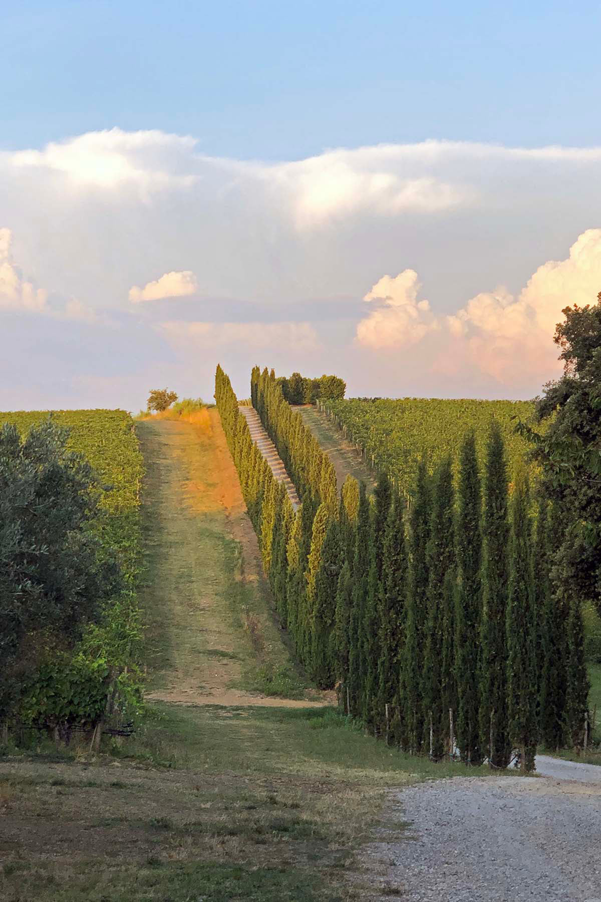 tuscan countryside at golden hour