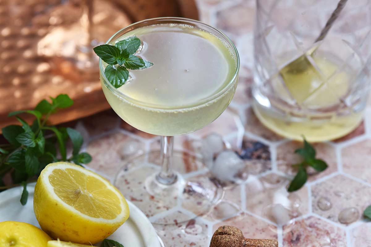 minted prosecco gin rickey cocktail recipe