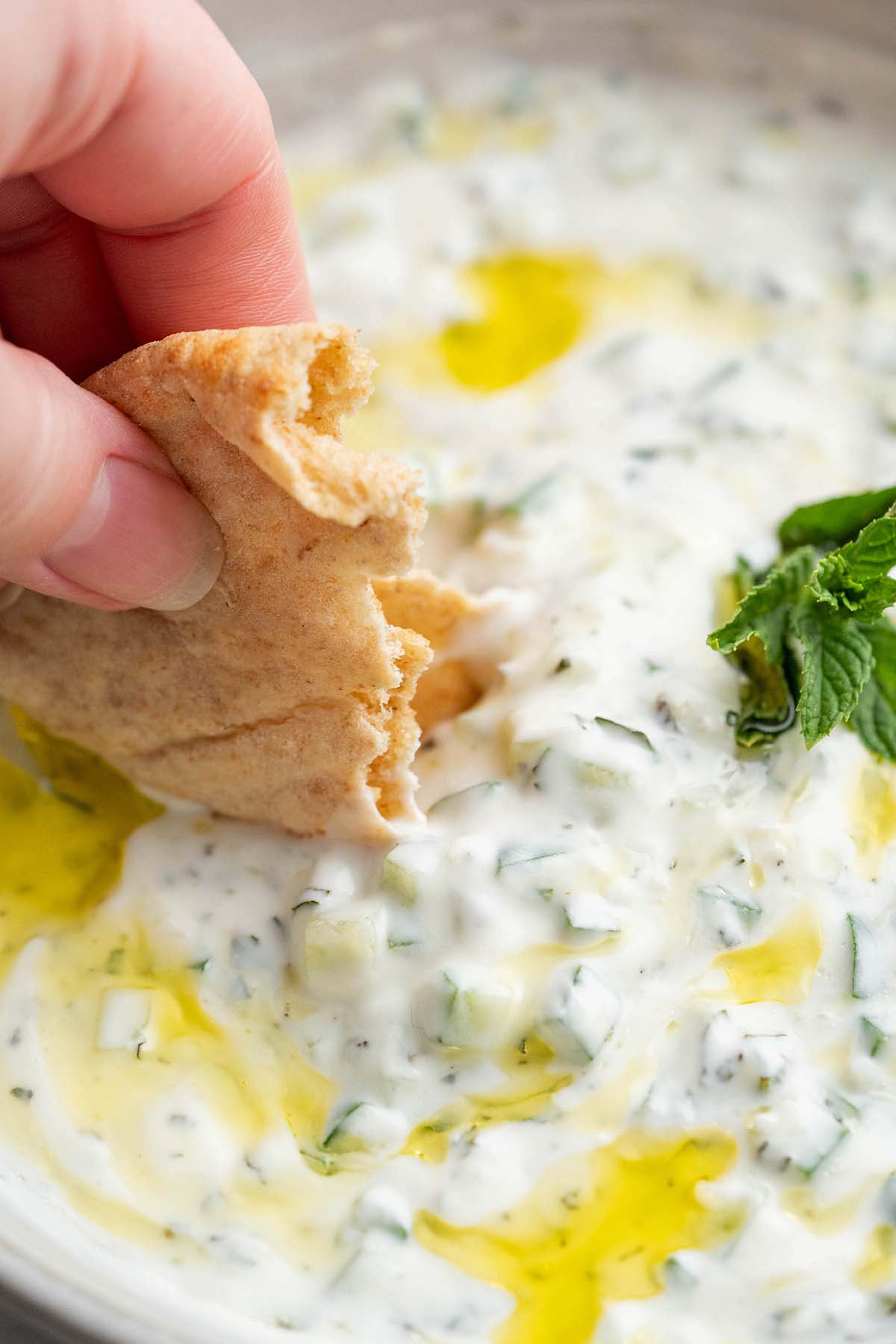 hand dipping middle eastern flat bread into khiyar oil laban