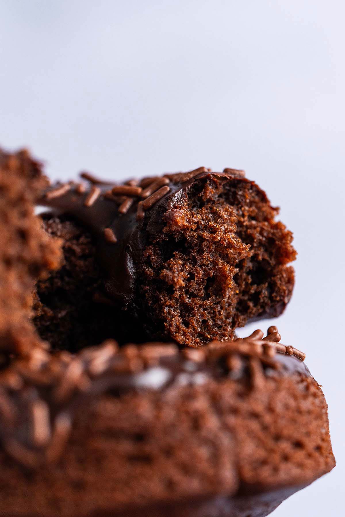 old fashioned chocolate donut with sour cream