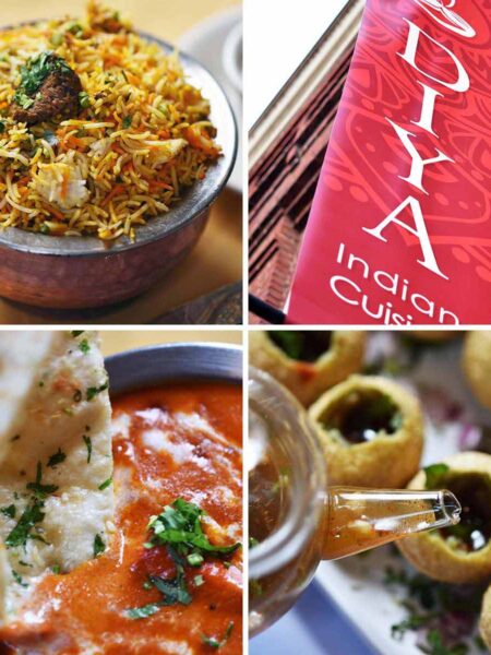 DIYA Indian Cuisine Alexandria Virginia review featured image on an edible mosaic