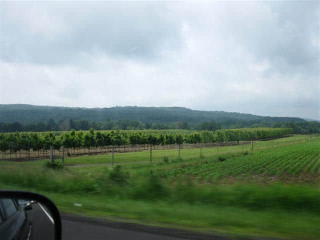 img_1069-small The Scenic Car Ride