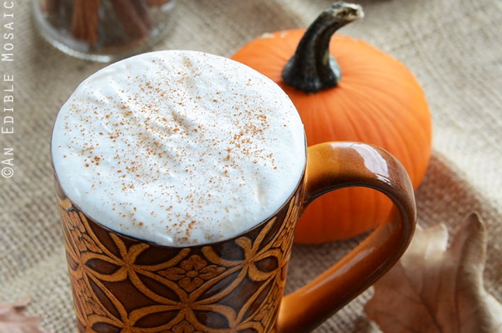 Sugar Free Pumpkin Spice Syrup (For Lattes and More) - An Edible Mosaic™