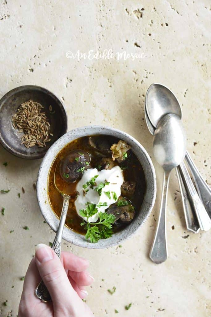 Leftover Steak Soup Recipe An Edible Mosaic™