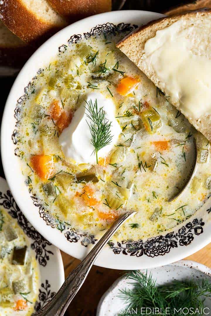 Frugal and Delicious Zupa Ogórkowa (Polish Dill Pickle Soup Recipe) An Edible Mosaic™