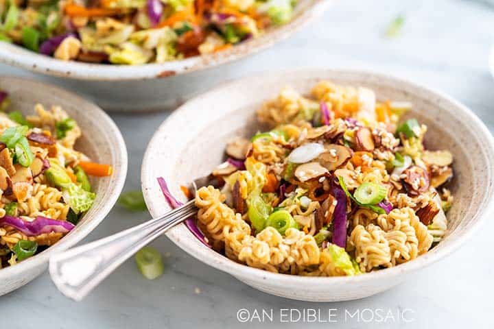 Ramen Noodle Salad Recipe-An Edible Mosaic