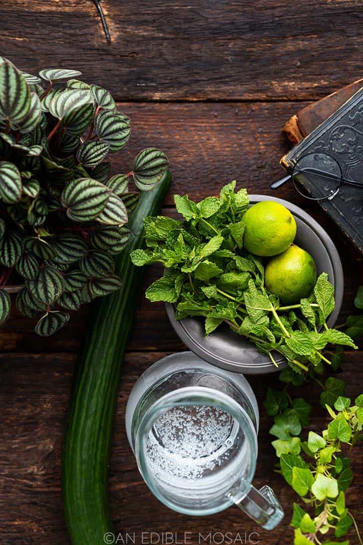 Easy 4Ingredient Gillywater (Harry Potter Inspired Gillyweed Water