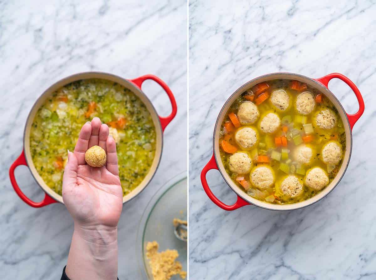 The Best Easy Chicken Matzo Ball Soup Recipe (Kneidlach) An Edible