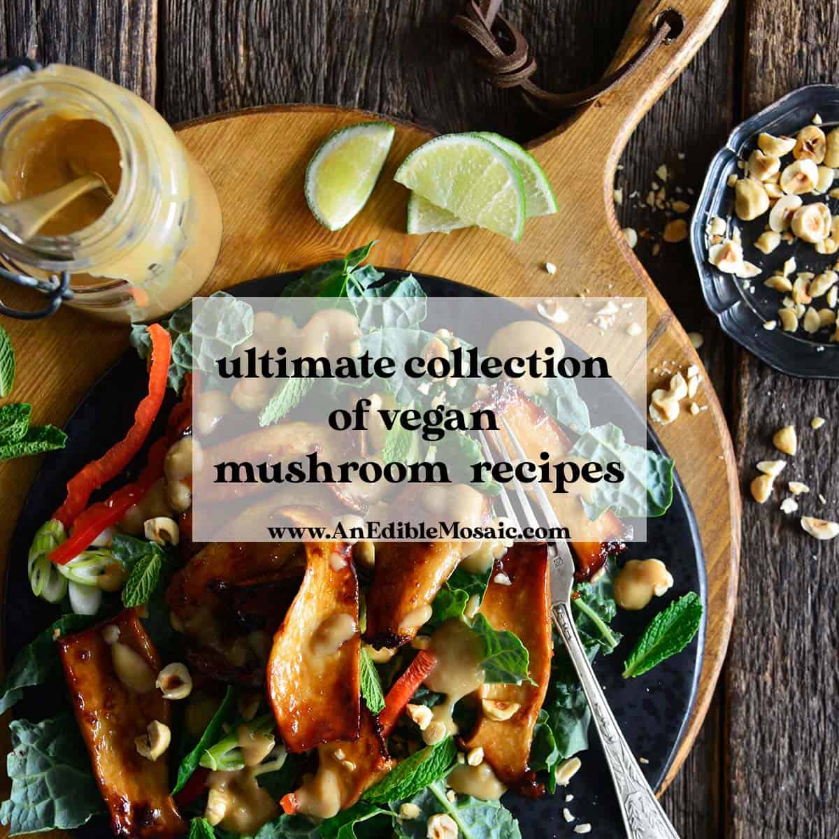 The Ultimate Collection of Vegan Mushroom Recipes