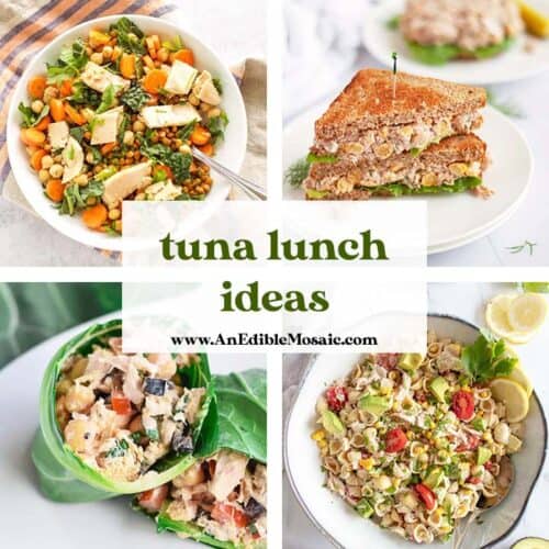10+ Healthy Tuna Lunch Ideas Easy and Budget Friendly! An Edible