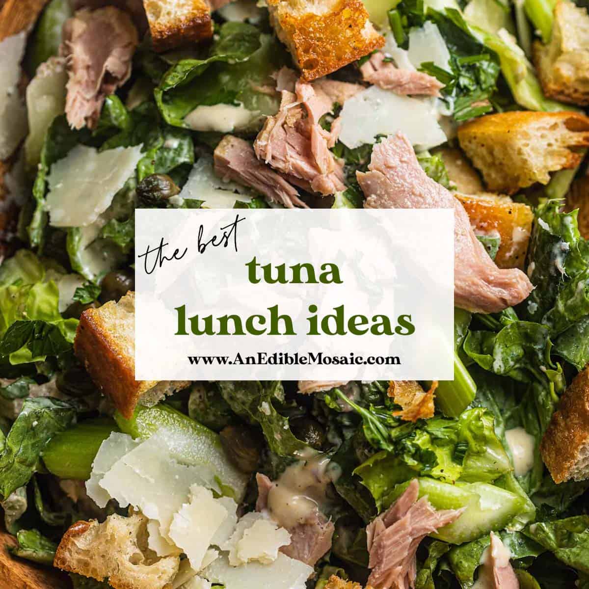 10+ Healthy Tuna Lunch Ideas Easy and Budget Friendly! An Edible